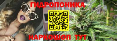 гашик Ипатово