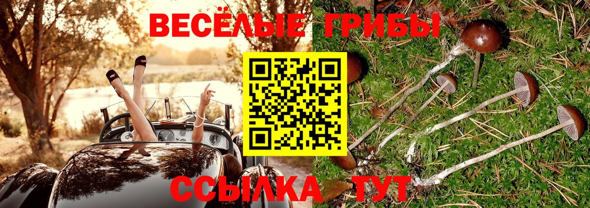 Псилоцибиновые грибы MAGIC MUSHROOMS Новочебоксарск